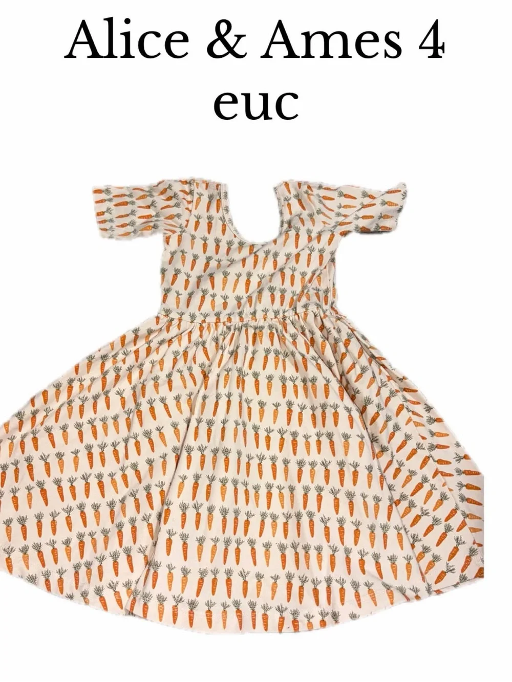 Alice and Ames size 4 Easter carrot dress